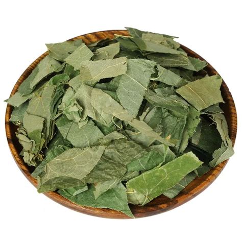 mulberry leaf chinese medicine.